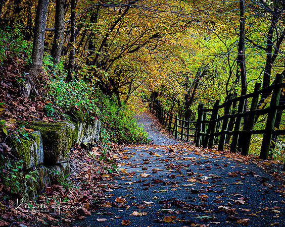 "A Fall Stroll"